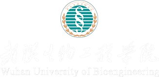 湖北省一流本科课程