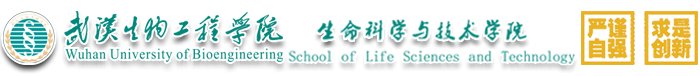 建筑工程多特蒙德携手博鱼体育全站入口公布官方合作 博鱼体育全站入口